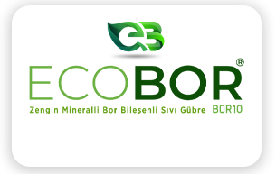 Ecobor